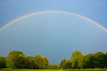 Rainbow Over a Meadow 