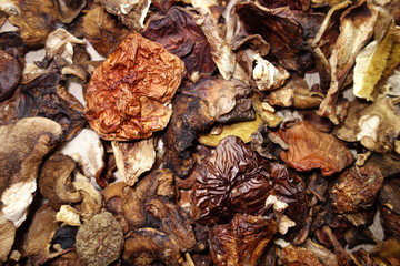 Dried mushrooms background texture