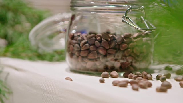 Piece of kitchen interior with a glass can full of cedar nuts and decorated with coniferous tree branch, green cone on cedar.