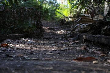 The Light at the end of the path