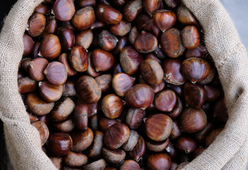 Raw chestnuts heap in shell with rustic sack.