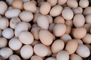 Dirty organic white raw chicken eggs, heap top view
