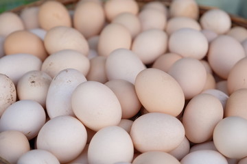 Dirty white organic raw chicken eggs closeup