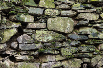 steinwand mit moos