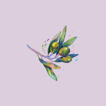 Olive Branch
