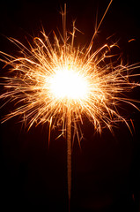 Festive Christmas sparkler on black background