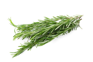 rosemary isolated on white