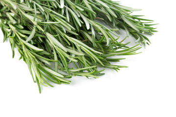 rosemary isolated on white