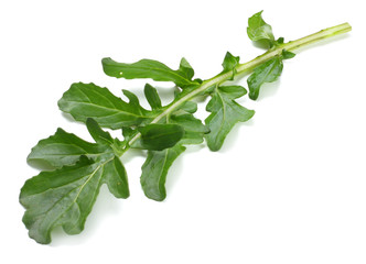 green fresh rucola leaves isolated on white background. Rocket salad or arugula.