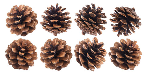 Fir cones isolated on white background closeup, pine cone collection
