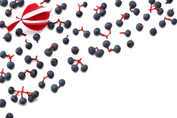 wild grapes isolated on white. top view