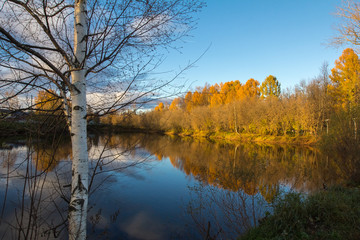 view of the autumn park with a pond
