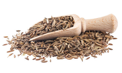 Cumin or caraway seeds in scoop isolated on white background. Collection - obrazy, fototapety, plakaty