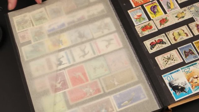 Collector philatelist leafs through the album with a collection of postage stamps