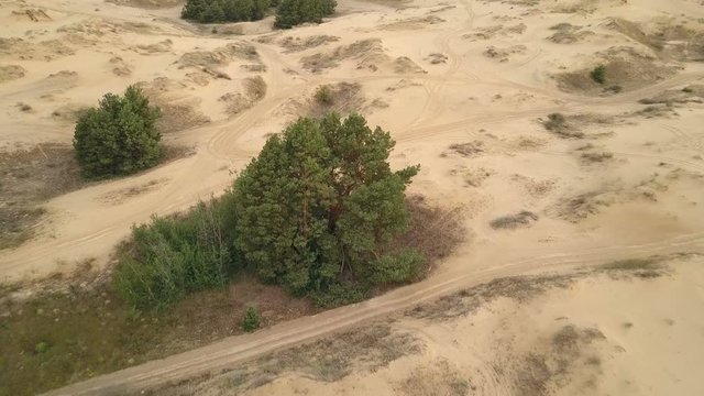 Aerial survey with approach to a pine in the middle of a desert (4K, 25fps)
