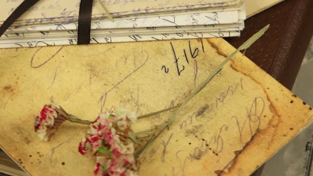 The family archive, old letters and photos, memory, background.
