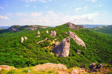 Fototapeta na wymiar Sharp mountains in the summer . Crimea.Russia.