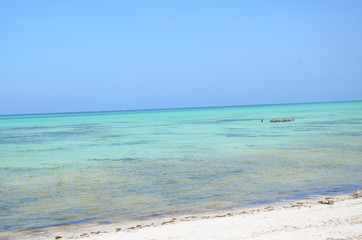 Meer und Strand auf Zanzibar