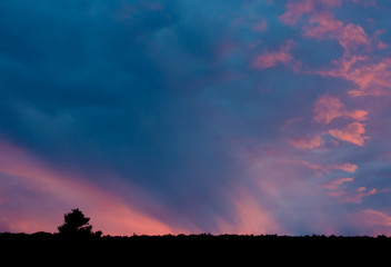 Fototapeta premium Sunset and Mountain Tree