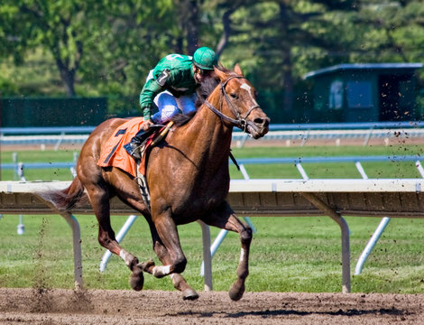 Horse Race