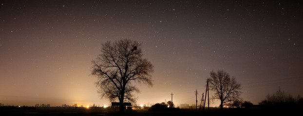 Blue dark night sky with many stars above field of trees