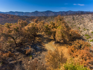 aerial of the aftermath of the Whittier Fire near Lake Cachuma in the Santa Ynez Valley, California