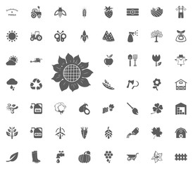 Sunflower icon. Gardening and tools vector icons set