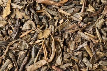 Texture of green tea close-up.
