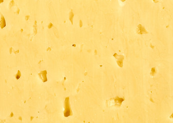 Texture of cheese close-up.