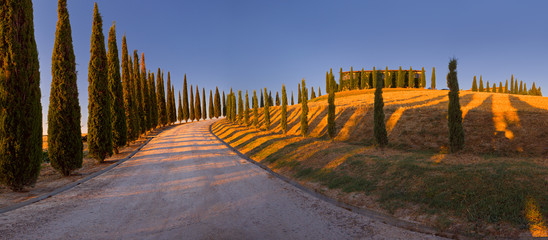 Beautiful cypress-lined road, Italian rural landscape, Tuscany