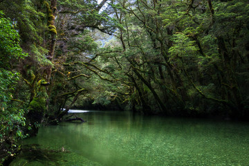 Clinton River on the Milford Track, Great Walk of New Zealand