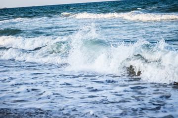 wave on the shore