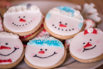 colourful selection of chrismas cookies in various shapes and colours