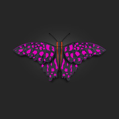 Vector illustration light purple butterfly on dark background.