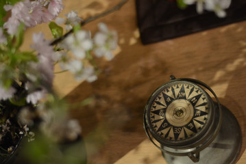 magnetic, instrument, travel, south, navigation, old, object, north, exploration, grunge, antique, direction, compass, east, science, location, search, macro, retro, west, medieval, success, ring, tec