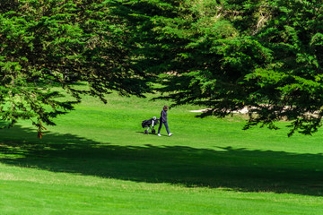 Golf player on green field, summer day, Bretagne