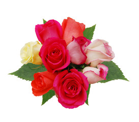 Colorful roses, beautiful flower bouquet on white background