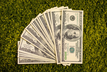 Dollar bills laying on a green grass carpet background