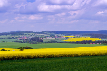 Rape field