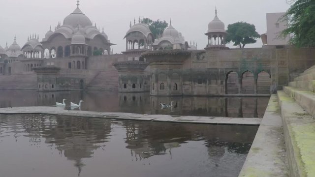 Swans swim on pond by Heritage Hindu temple named Kusuma Sarovara, smooth tracking shot along water and steps, main beautiful monuments in background. 2X slow motion.mov
