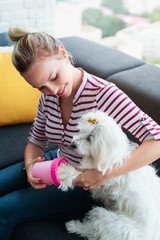 Dog Owner Cleaning Paws To Little Pet At Home