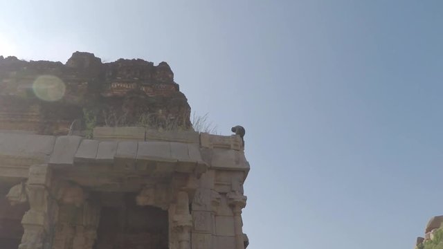 A monkey sits on the roof of an ancient temple ruins in Hampi, India. Still shot. 2X slow motion.