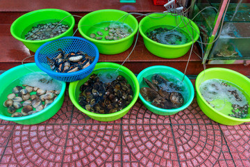 Raw sea food at Asian street Seafood market in Vietnam