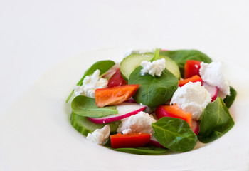 Vegetarian salad of cheese and vegetables on a white background.