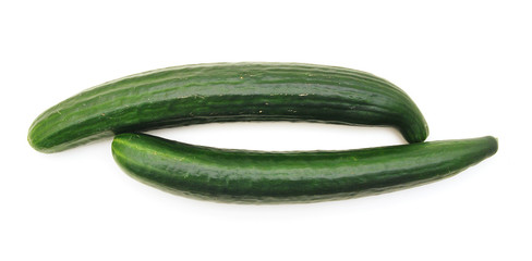 green cucumber on white background.