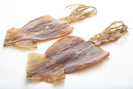 Dry Squid Shell