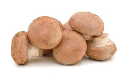common mushrooms on white