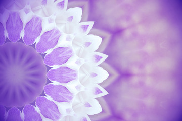 Violet wild flowers with kaleidoscope effect, abstract color Ultra Violet background.