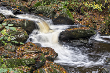 Fototapeta na wymiar Water in the Glen - Ricketts Glen, Pennsylvania