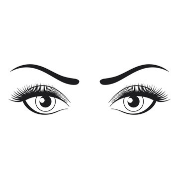 Female eyes and eyebrows isolated on white background